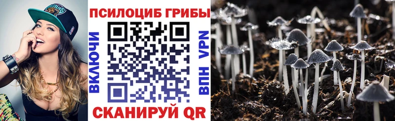 Галлюциногенные грибы MAGIC MUSHROOMS  даркнет состав  Алатырь 